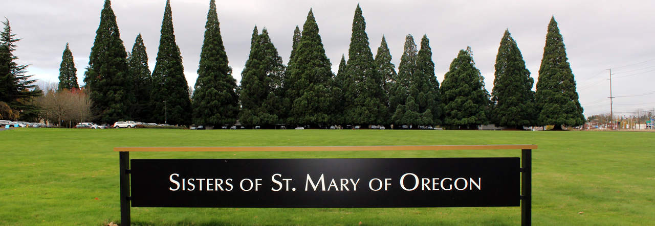 Sequoias and sign banner 1