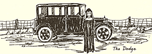 A car was purchased, although no one knew how to drive