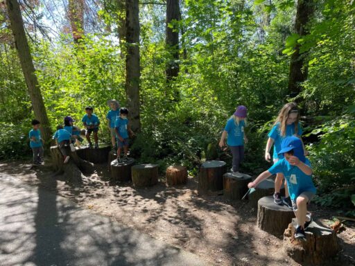 E L S Summer Camp Hike; kids walking along the tree stumps