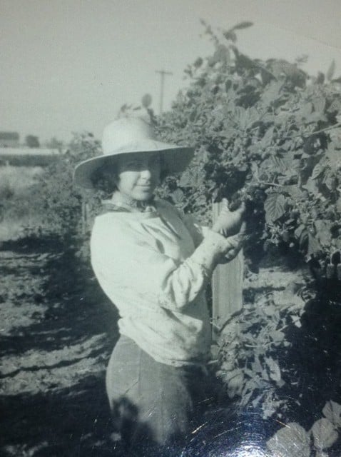 Sister Juanita picking marionberries as a teenager