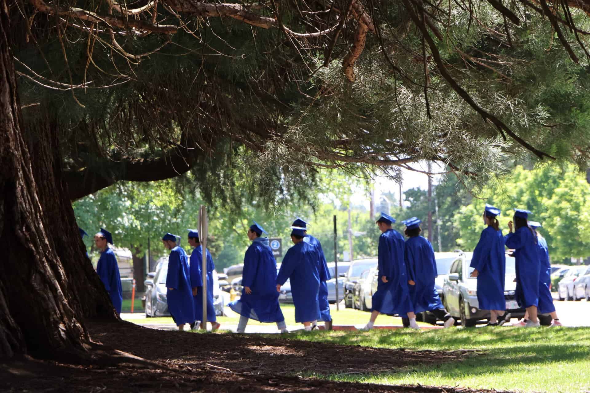 Valley Catholic graduates walking under Sequoia