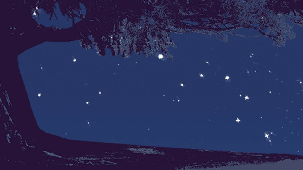 blue-tree-under-stars-brighter-social-_1280x720_imageonly