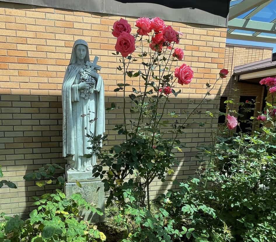 Mary And Roses