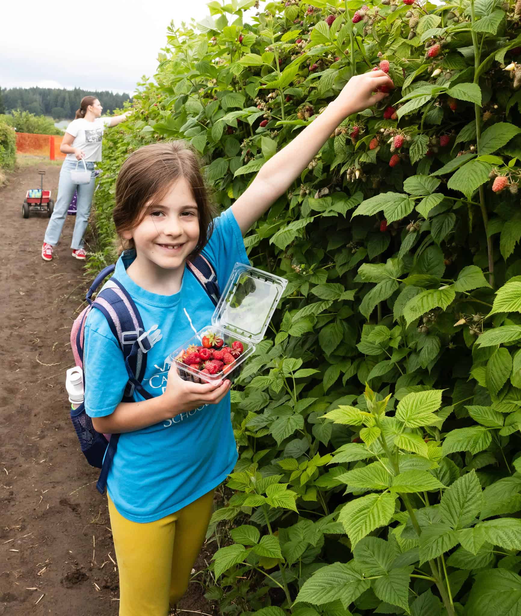 ELS Picks berries