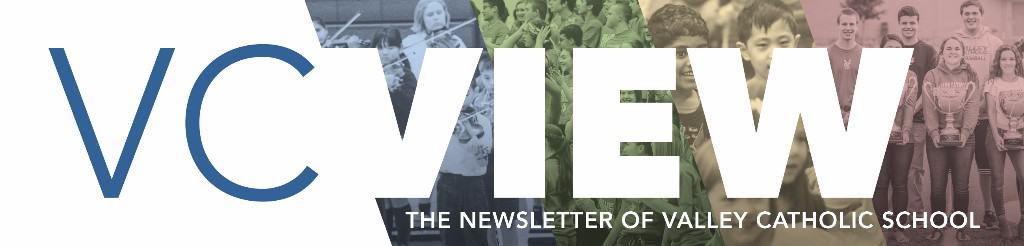 VC View Newsletter Banner