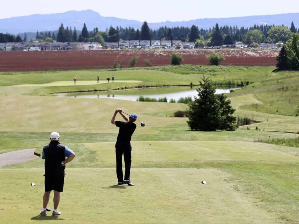 A picture-perfect drive at the whole