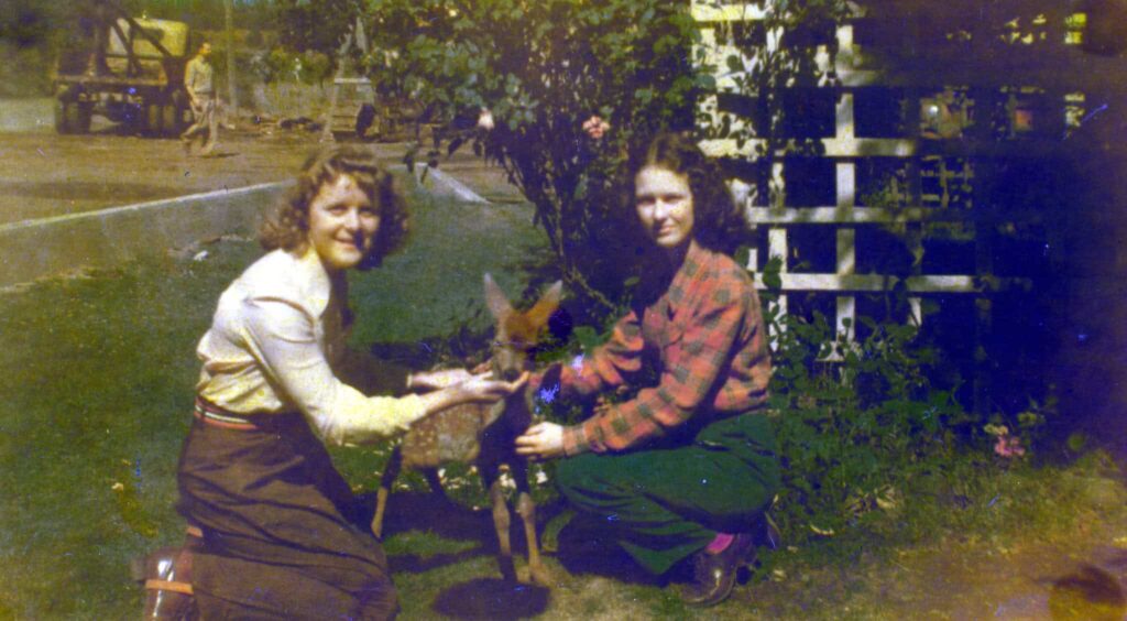 Theresa (left) and Mary Ann meet a young deer while on vacation in Oregon (circa 1944)