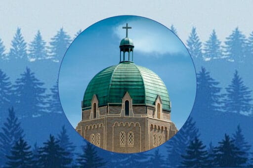 SSMO Dome in circle with blue trees