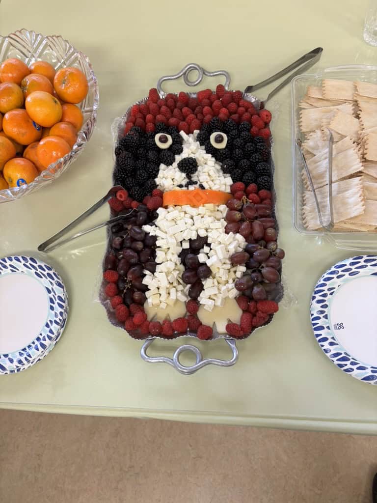 Fruit cheese platter made to look like a dog