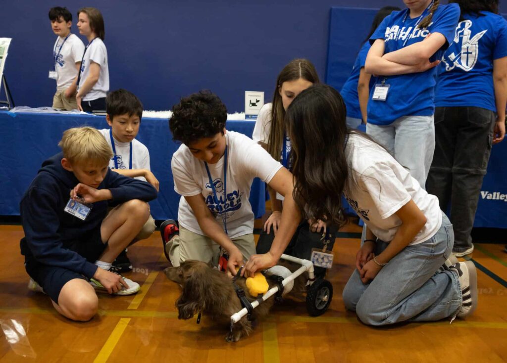 In the gym, during the dog mobility program, students are attaching wheels