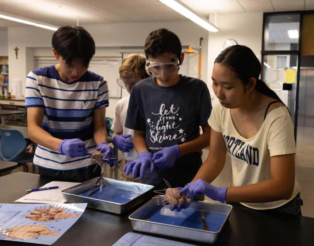 Science class students doing lab project